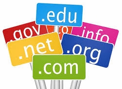 design my site - internatioal domain names
