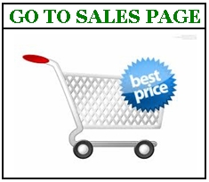 click to go to oil & gas pipeline models sales copy